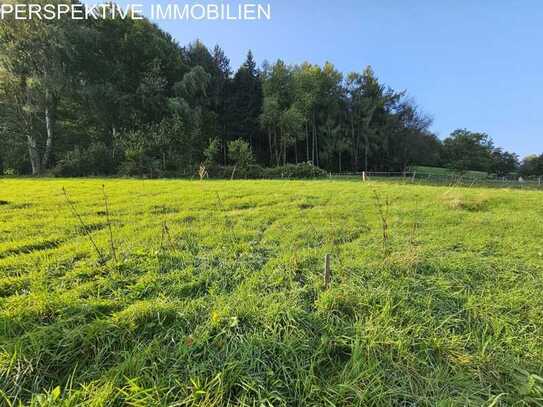 Baugrund in Erbuch - Ihr Traum vom Eigenheim beginnt hier!