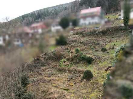 Baugrundstück mit Aussicht sucht neuen Besitzer