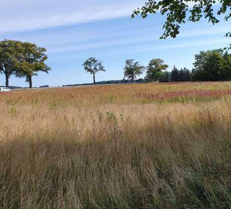 Bauträgerfreies Baugrundstück in Relzow mit pos. Bauvorb.