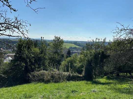 Schönes Gartengrundstück mit Gartenhaus und Blick über Reichenbach zu verkaufen!