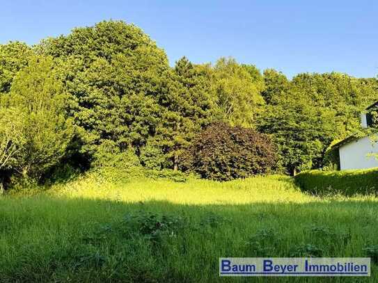 Einmaliges Baugrundstück im Ostviertel von Göttingen