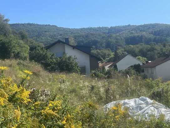 Aufgepasst - PREIS-Tipp -1-2 Familienhaus - Grundstück