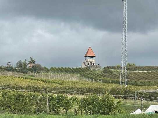 Top Lage-ruhige,gemütlich,gepflegte 2 ZKBB-Appartement mit Balkon