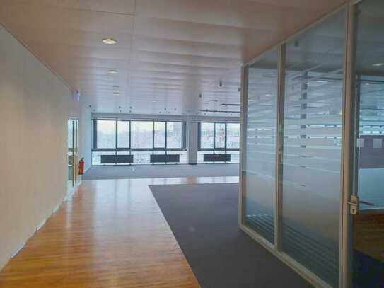 Büroflächen I modernes Design I Pegasus Business Center