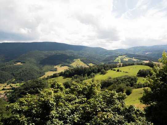 ... ca. 80.000 qm Wiese und Wald ! ... für Naturliebhaber, Alleinlage in den Vogesen