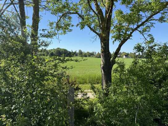 schönes Baugrundstück in Güstrow zu verkaufen schöne Randlage "Alte Gärtnerei" in Güstrow-Süd