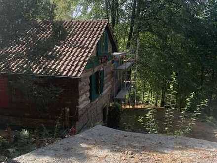 Waldhaus im Pfälzer Wald 3-Zimmer-Haus in Dimbach
