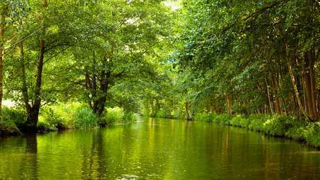 Dreifamilienhaus im Spreewald