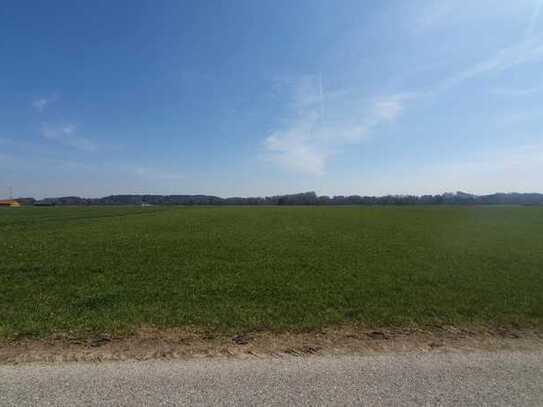 hochwertige Grünlandfläche in Valley