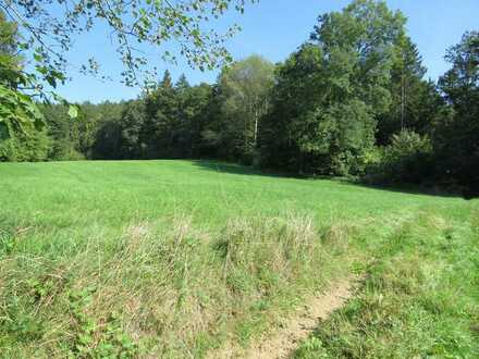 Freizeitgrundstück mit Waldbestand in absolut ruhiger und sonniger fast Alleinlage Nähe Schloss Egg