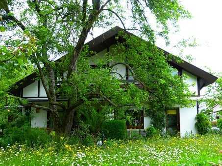 Baugrundstück im Forstwald