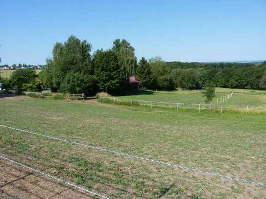 Grünfläche zwischen Bebauung, Sportplatz und Pferdeställen bei Glashütten in der Nähe von Königstein