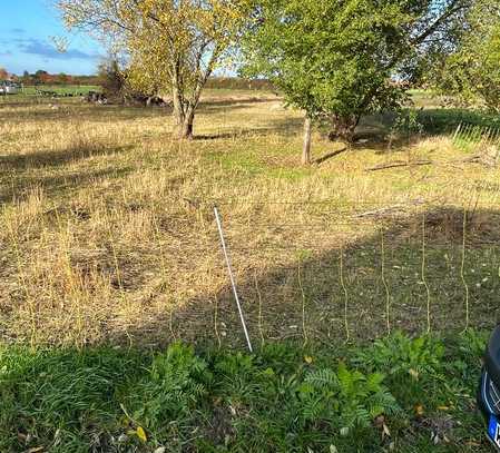 Baugrundstück mit freier Sicht in die Natur