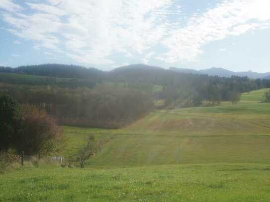 Die etwas andere Investitionsmöglichkeit! 2 Waldrechte in optimal gelegenen Waldgebieten im Oberland