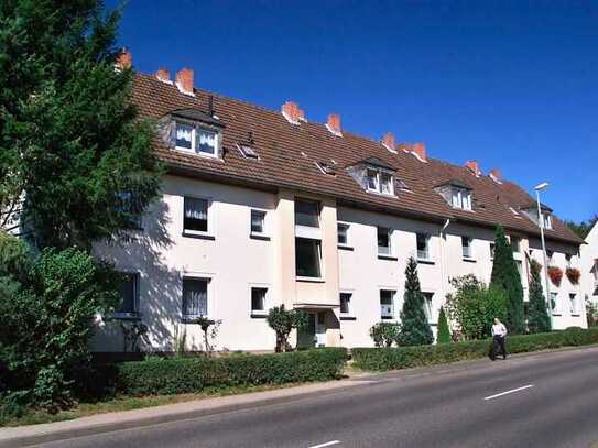 Gemütliche 3 ZKB Wohnung in Bad Ems