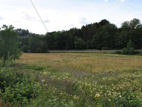 Schönes Baugrundstück in Steinebach