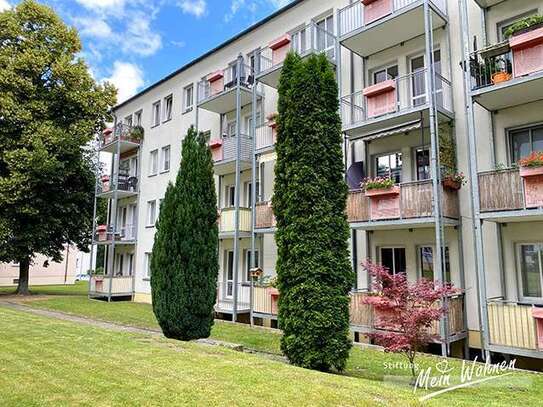 geräumige 3-Raumwohnung im Lutherviertel