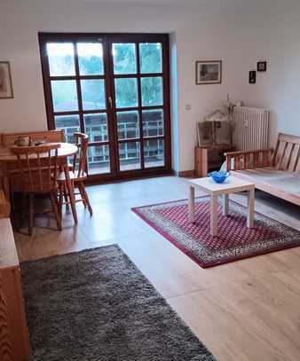 Erstbezug nach Renovierung! Großzügige 1-Zimmer-Wohnung mit Balkon