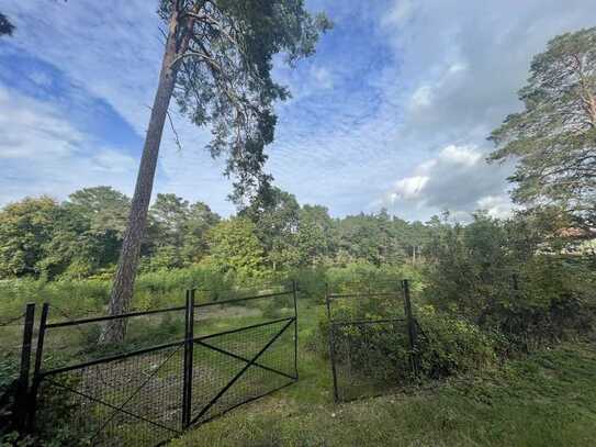 Bauträgerfreie Baugrundstücke direkt am Waldrand von Dabendorf