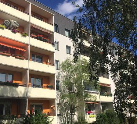 Schöne 4 Zimmerwohnung sucht neue Familie - Kontakt: sylvia.boettcher@vonovia.de