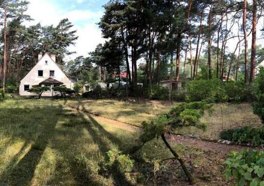 freistehendes Einfamilienhaus, teilsaniert mit zusätzlichem Baugrundstück