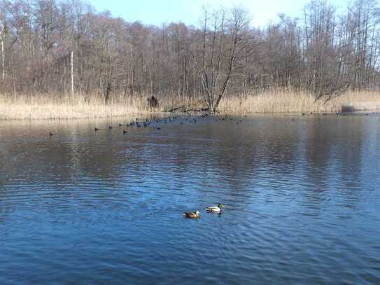 Wohnen am See! Voll erschlossene Baugrundstücke am Baalensee zu verkaufen!