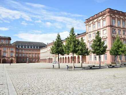 Kleines Studentenapartment mit Dachterrasse in Mannheim, nähe Schloss