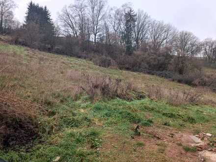 Erschlossenes Baugrundstück in Bann