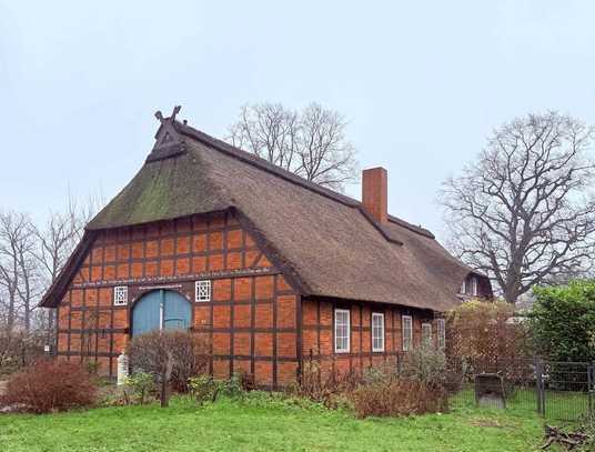 Charmantes Reetdachanwesen in Naturidylle