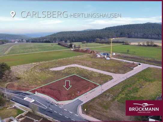 Schönes, erschlossenes Baugrundstück (687 m²) im Neubaugebiet "Am Ringelsberg" Hertlingshausen!