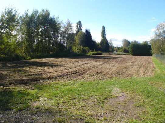 Gartenfläche Wiesenfläche Freifläche in Weiden