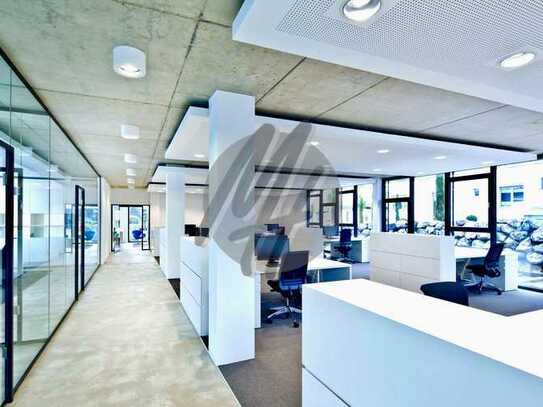 KEINE PROVISION ✓ KOMPLETT MODERNISIERT ✓ Büroflächen (2 x 250 m²) zu vermieten