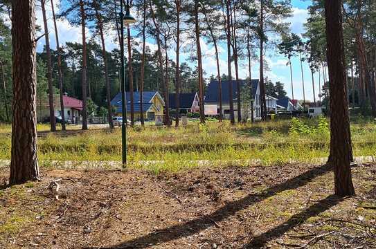 Sonnengrundstück für kleines Haus in Borkwalde