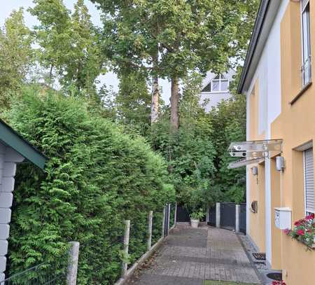 Modernes Reihenshaus Neubau