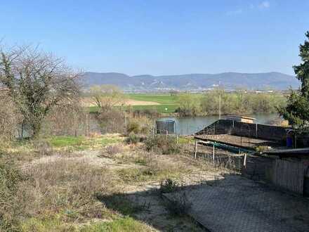 +++ TRAUMGRUNDSTÜCK FÜR IHR HAUS DIREKT AM NECKAR IN EDINGEN +++