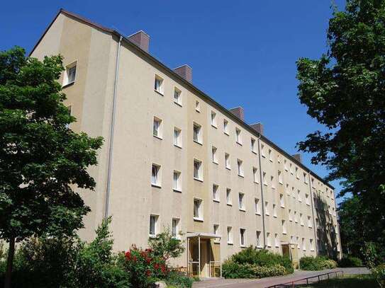 Attraktive Wohnung mit Westbalkon in Alt-Schmellwitz