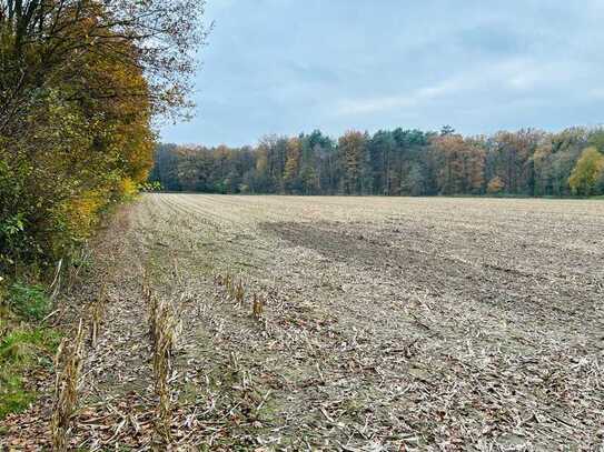 Acker- und Waldfläche