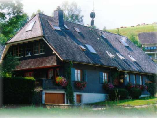 Erstbezug nach Sanierung Garten Terrasse und EBK: Exklusive 2-Zimmer-Wohnung in Hinterzarten