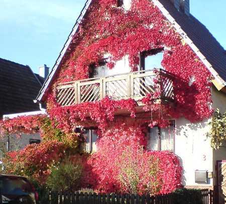 Freistehendes Einfamilienhaus mit großzügiger Nutzfläche in Ortsrandlage