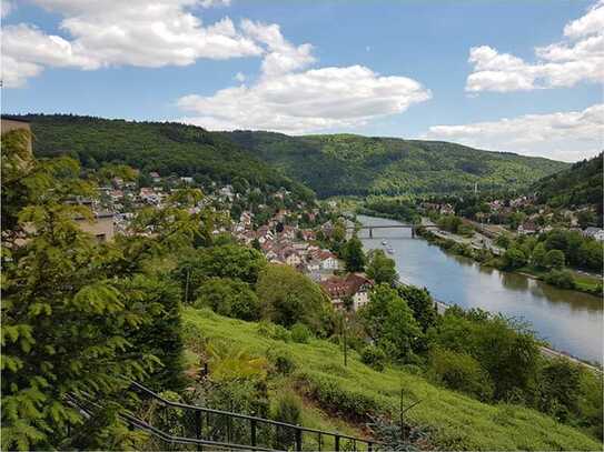 Exklusives Wohnerlebnis in Heidelbergs Bestlage – Luxus trifft Moderne