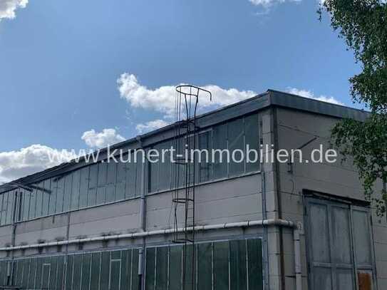 1150 m² Lagerhalle mit möglichem Büroabteil günstig in Halle (Saale) - Frohe Zukunft zu vermieten