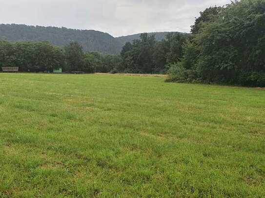 Halbinsel Scheid Edersee - das letzte Grundstück !!!