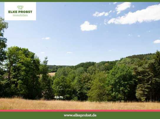 Ruhiges Baugrundstück mit Ausblick - inmitten der Natur