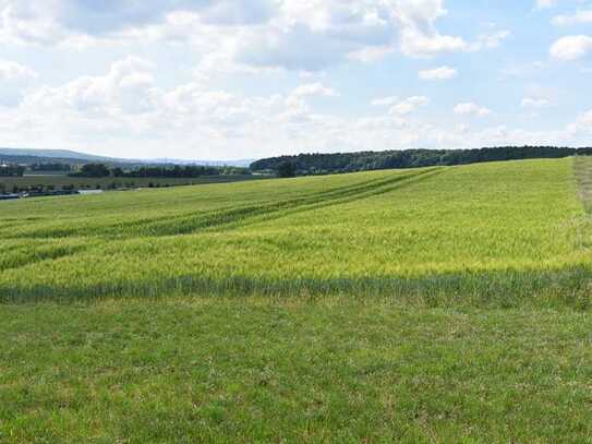 Knapp 1ha gut erreichbares Ackerland ohne Genehmigung