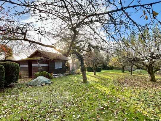 Sonniges Gartengrundstück mit gemütlichem Gartenhaus für Naturliebhaber.