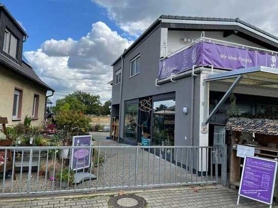 Attraktive 2-Zimmer-Wohnung im Zentrum von Gernsheim