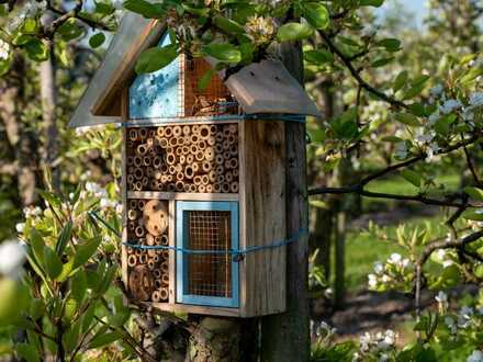 ***6 MIETWOHNUNGEN + BÜRO IM HERZEN VON ZWIESEL IM BAYRISCHEN WALD***