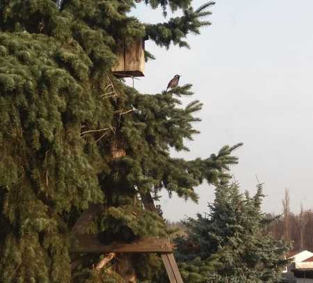 Moderne DG-Wohnung mit zwei Zimmern und Balkon in Wilsdruff