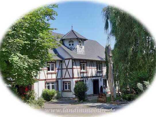 Zukunft als Campingplatz? - hist. Mühle (ehem Ausflugs Gastronomie) mit Gewerbe in Alleinlage