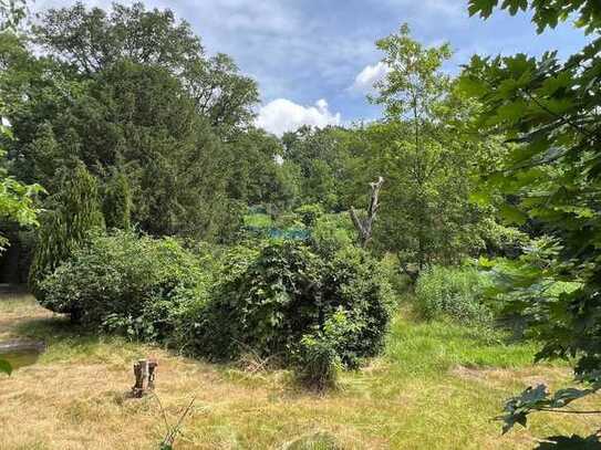 Forsthaus im Auwald - Traumhaftes Denkmal Ensemble sucht Liebhaber!